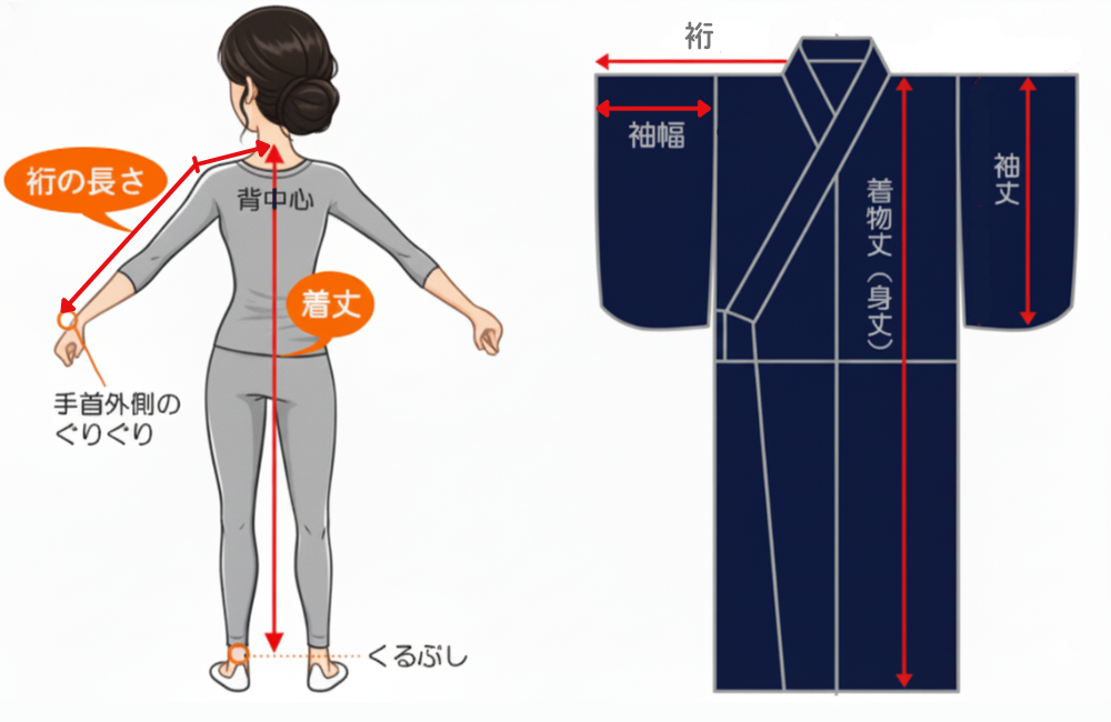 着物サイズの採寸イメージ画像