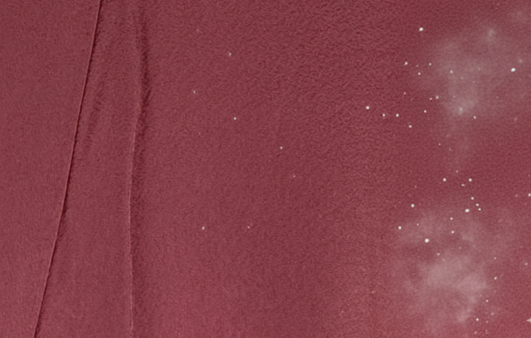 白カビのはえた着物のイメージ画像